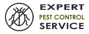 Pest Control Exterminator Snohomish WA